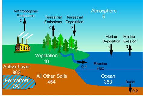 How is mercury found in nature
