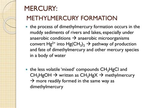 How is methylmercury formed