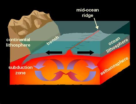 How is new seafloor formed? - TimesMojo