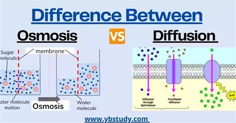 How is osmosis different than diffusion