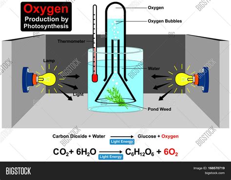 How is oxygen made