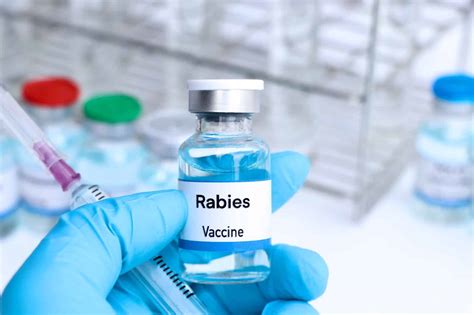 How is rabies vaccine made