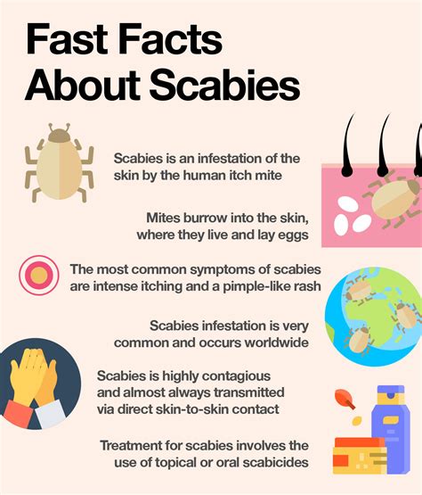 How is scabies treated in humans
