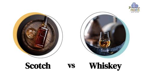 How is scotch different than whiskey