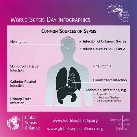 How is sepsis spread