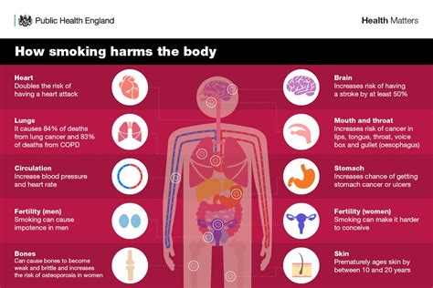 How is smoking harmful