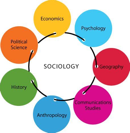How is sociology related to other sciences