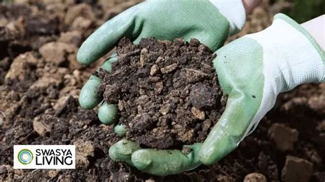 How is soil useful to us