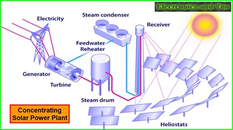 How is solar energy stored in plants