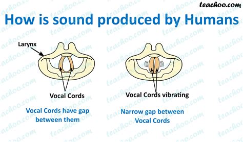 How is sound produced when singing