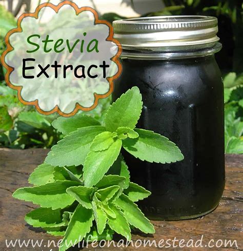 How is stevia leaf extract made? Stevia.com