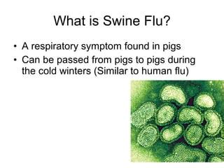 How is swine flu passed on