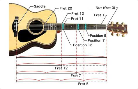 How is the pitch of a guitar string related to its length?