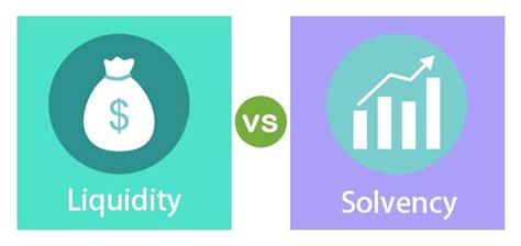 How is the solvency and liquidity test applied to a holding …