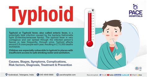 How is typhoid transmitted