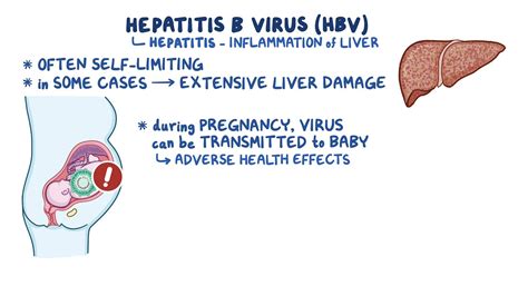 How is viral hepatitis transmitted? - cliniquelactuel.com