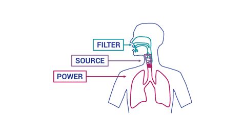 How is voice created