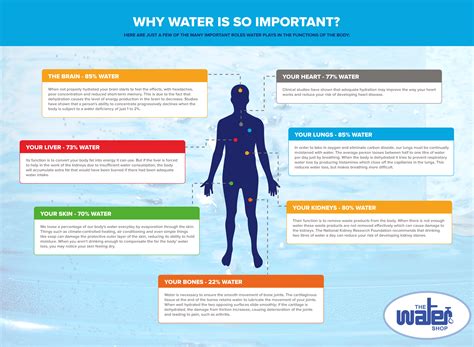 How is water important to life