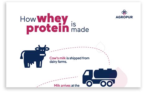 How is whey protein produced