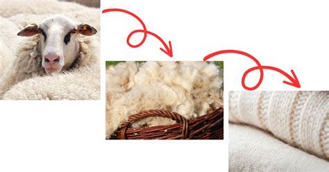 How is wool made into fabric