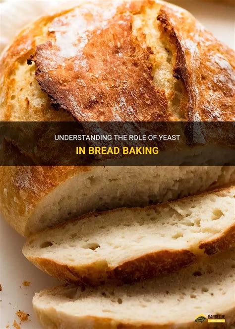 How is yeast used in bread