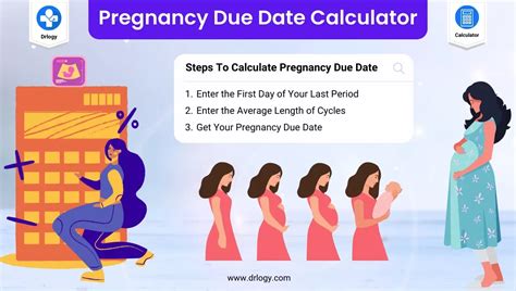 How is your due date calculator