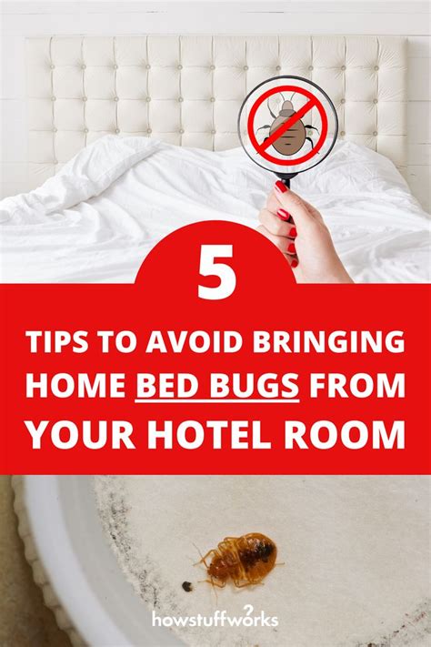 How likely is it to bring bed bugs home from a hotel?