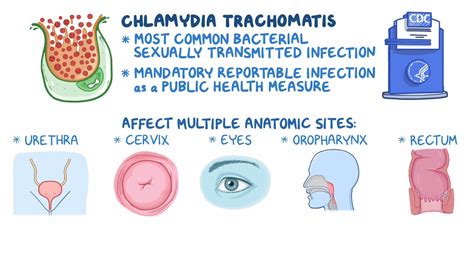 How likely is it to pass chlamydia