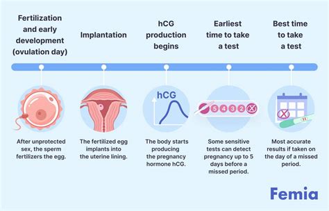 How long after conception should you test