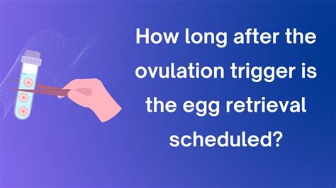 How long after trigger is egg retrieval