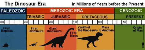This simple timescale shows when dinosaurs were alive. Between 243 and 231 million years ago: Dinosaurs appear, having evolved from primitive reptiles. 201.3 million years ago: A worldwide extinction …. 
