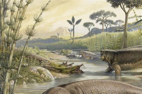 Mesosaurus inhabited our world approximately 299 million years ago and was present until its extinction some 280 million years ago. This time period coincides with the Lower Permian. It was during the Lower Permian that the first carnivorous mammal-like reptiles appeared and dominated without a doubt. Where did the Mesosaurus live?. 