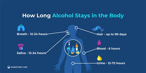 How long alcohol in body