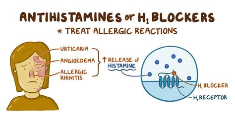How long antihistamines stay in your system