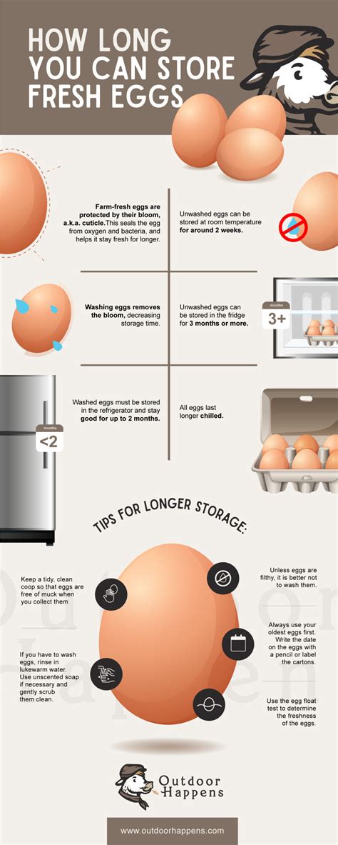 How long are refrigerated eggs good for. If you're saving leftovers from a dish made with eggs, the FDA recommends refrigerating them and eating within 3 or 4 days. Hard-boiled eggs can stay in the … 