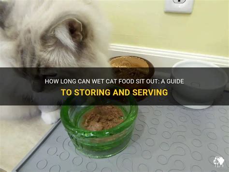 How long can wet cat food sit out. By wet, we are referring to canned cat food or raw cat food. How long it can be left in the cat’s bowl depends on the temperature. Wet food will last longer in cooler temperatures. As a rule of thumb, I will leave wet cat food out for a maximum of 30 minutes. Remove and discard any remaining food and wash the bowl with warm, soapy water. In ... 