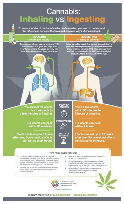 Mar 14, 2023 · This means that CBD sprays can stay in the body for 10 hours to about 2 days, chronic oral consumption can mean CBD stays in the system for 10 to 25 days, and CBD can stay in the system for about ... . 