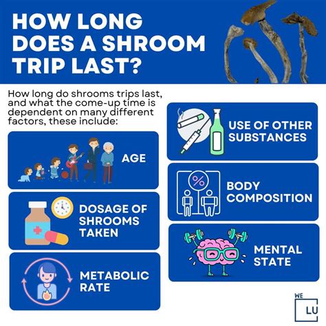 How long do shroom trips last for. The intensity and duration of a shroom trip can vary depending on factors such as the species of psilocybin mushrooms, individual tolerance levels, and the amount ingested. Generally, a single trip can last anywhere from 4 to 6 hours. When taking shrooms, it's crucial to start low and go slow, especially if it's your first experience. 