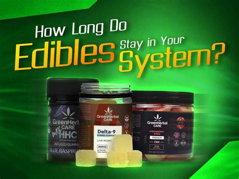 THC edibles can stay in your system for up to 30 days, depending on several factors. Different types of drug tests have different detection windows for THC edibles. Drinking water and exercising can help reduce the detection time, but may not work for everyone. THC can also affect pets, and it’s important to seek veterinary care if you .... 