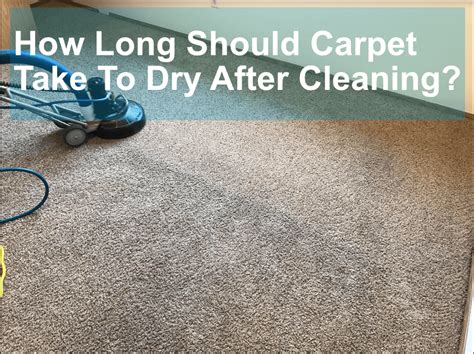 How long does carpet take to dry. The process of drying can range from 6 to 10 hours for most carpets. However, it can take up to 24 hours depending on the factors mentioned above. Your carpet will be only slightly damp to the touch after your cleaning. Most carpets typically need 6-10 hours to dry completely. However, it could take up to 24 hours to dry … 