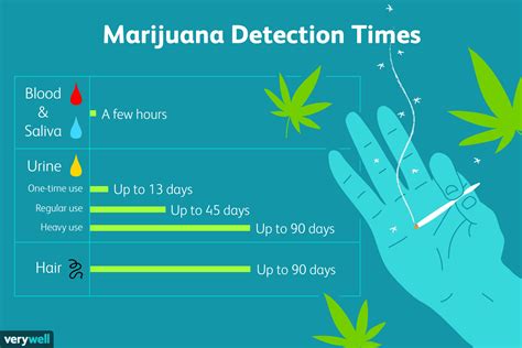 How long does it take for THC to get out of my system?