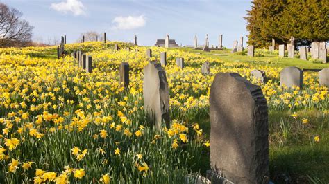 How long does it take for a body to decompose. .  ...