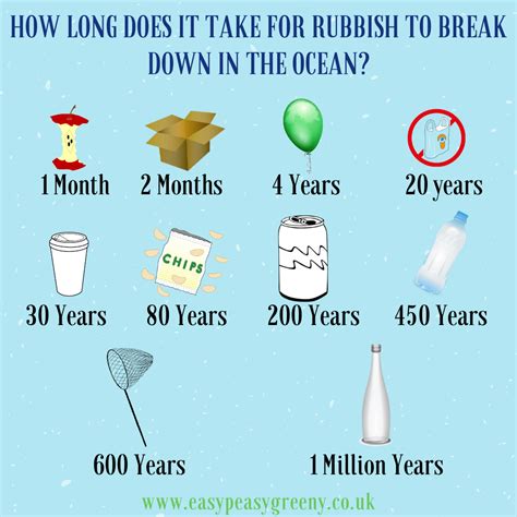 How long does it take plastic to decompose. Aug 15, 2022 · Even two uses are better than 500+ years in a landfill after a single use! Aluminum – a can might take 100+ years to break down, but aluminum, like glass, can be recycled infinitely. It is one of the most easily recycled materials within our waste streams but still ends up degrading in landfills. 