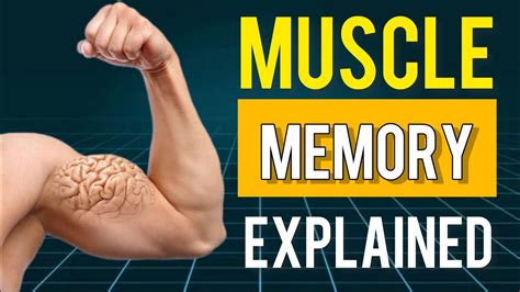 How long does muscle memory last bodybuilding.  How Long Does It Take to Regain Lost Mu...