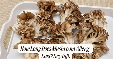 How long does mushroom allergy last. .  <a href=https://saif.fakeapi.dev/i...