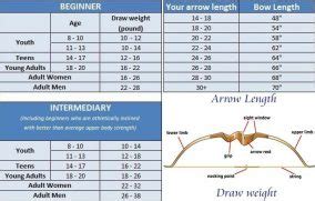 How long does my bow need to be? : r/Archery - Reddit