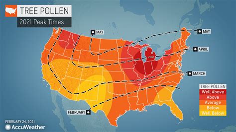 How long does pollen last in georgia. Things To Know About How long does pollen last in georgia. 