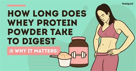 How long does protein powder take to digest.  Do Long, Collard Green, Collard And More.  ...