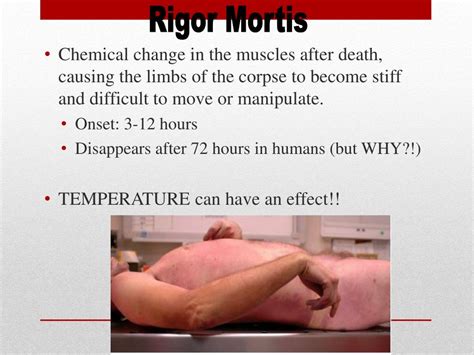How long does rigor mortis last.  It occurs in a predictable rigor mortis sequen...