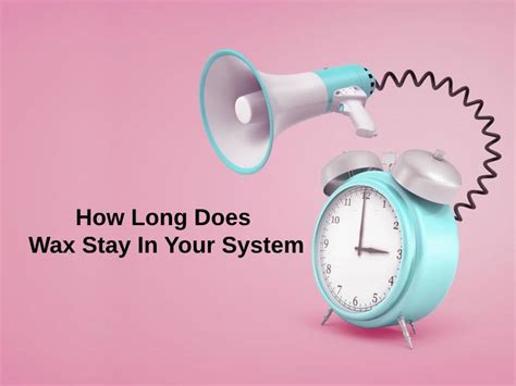 How long does wax stay in your system. Every time you eat, you’re introducing more sugar into your body. If you were to eat low-calorie foods and remain fasted, sugar would take at least three hours for the bulk of that sugar to leave your system. Some residual sugar should remain. Your brain and organs need sugar to function. 